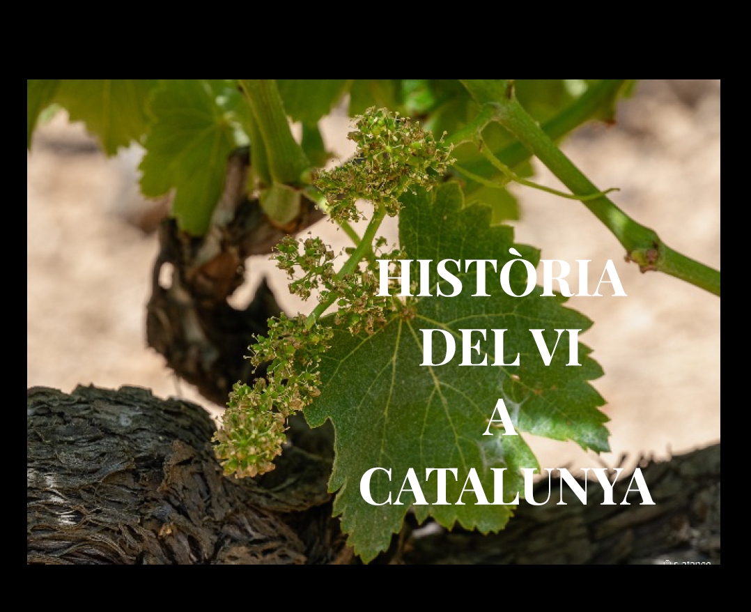 Història del vi a Catalunya, quasi 3.000 anys.